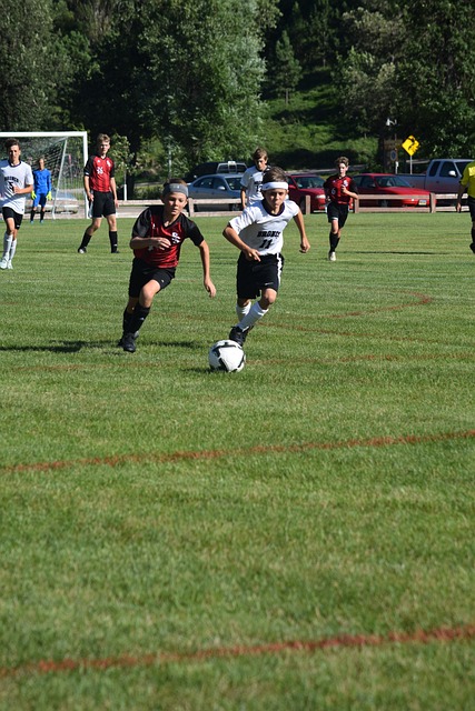 球迷与球队 球迷与球队