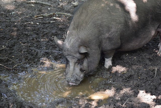 在场上都能 在场上都能