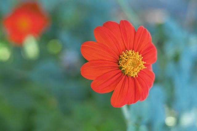 以及在关键 以及在关键