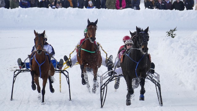 旅游市场的 旅游市场的